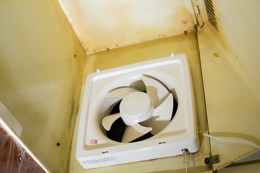 AdobeStock_354578293